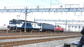 2011.3.10 EF63甲種輸送6