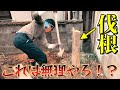 「絶対に抜けない」と言われた植木…最強の道具を使って手作業で伐根する方法【家の外周を雑草対策#1】