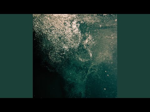 Wye Oak — Pardon