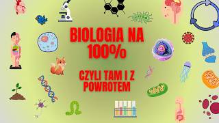 screenshot of the youtube video