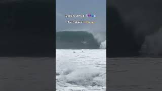 Cyclone Alfred vs. Australians