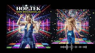 Hoptek Dere Boyu Kavaklar (Remix Ankara Düğün Halay Oyun Havası Potpori)