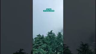 Dalhousie - Beautiful Hill Station Himachal Pradesh #dalhousie #Shorts #Viral #hillstation #nature