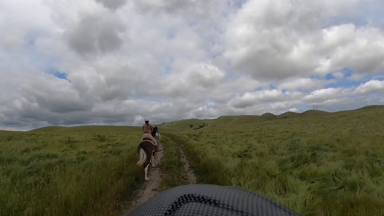 Dublin Hills Horseback Riding YouTube