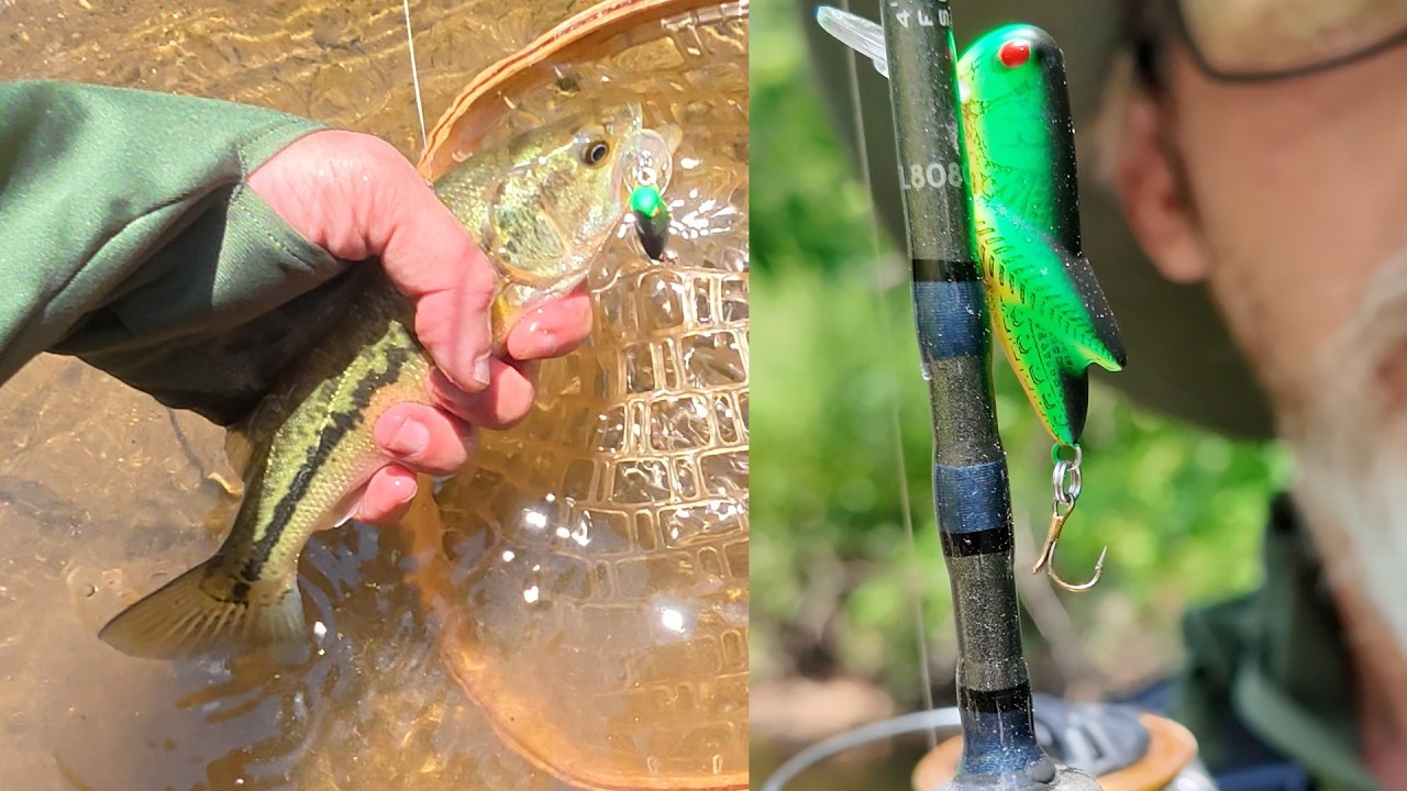 ephemeral fishing poles Fish Armor Extendable Pro 36" Pole for GARMIN or LOWRANCE The Shakespeare Jellyfish combos are designed for ultimate comfort with unique Gel Survival Fishing Rod: Using and