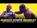 😱 DANIEL DUBOIS STOPS FABIO WARDLEY IN BRUTAL SLUGFEST!!! POST FIGHT REVIEW (NO FOOTAGE)