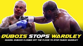 😱 DANIEL DUBOIS STOPS FABIO WARDLEY IN BRUTAL SLUGFEST!!! POST FIGHT REVIEW (NO FOOTAGE)