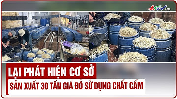 Lại phát hiện cơ sở sản xuất 30 tấn giá đỗ sử dụng chất cấm | Truyền hình Hậu Giang