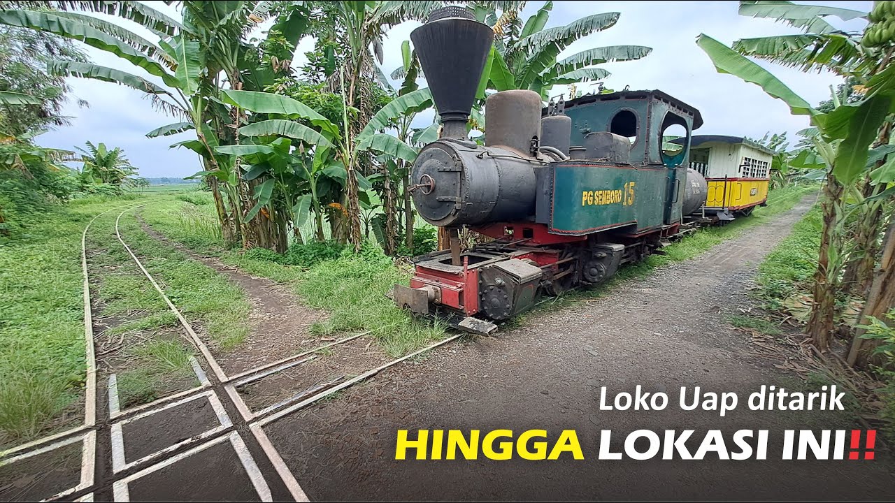 Этот редкий паровоз был вытащен из дизельного локомотива на переезд «Даймонд-Кроссинг»‼️