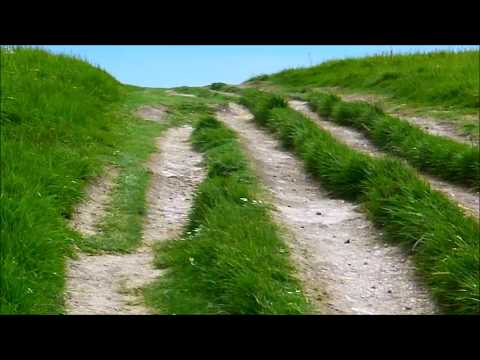 양희은 들길 따라서