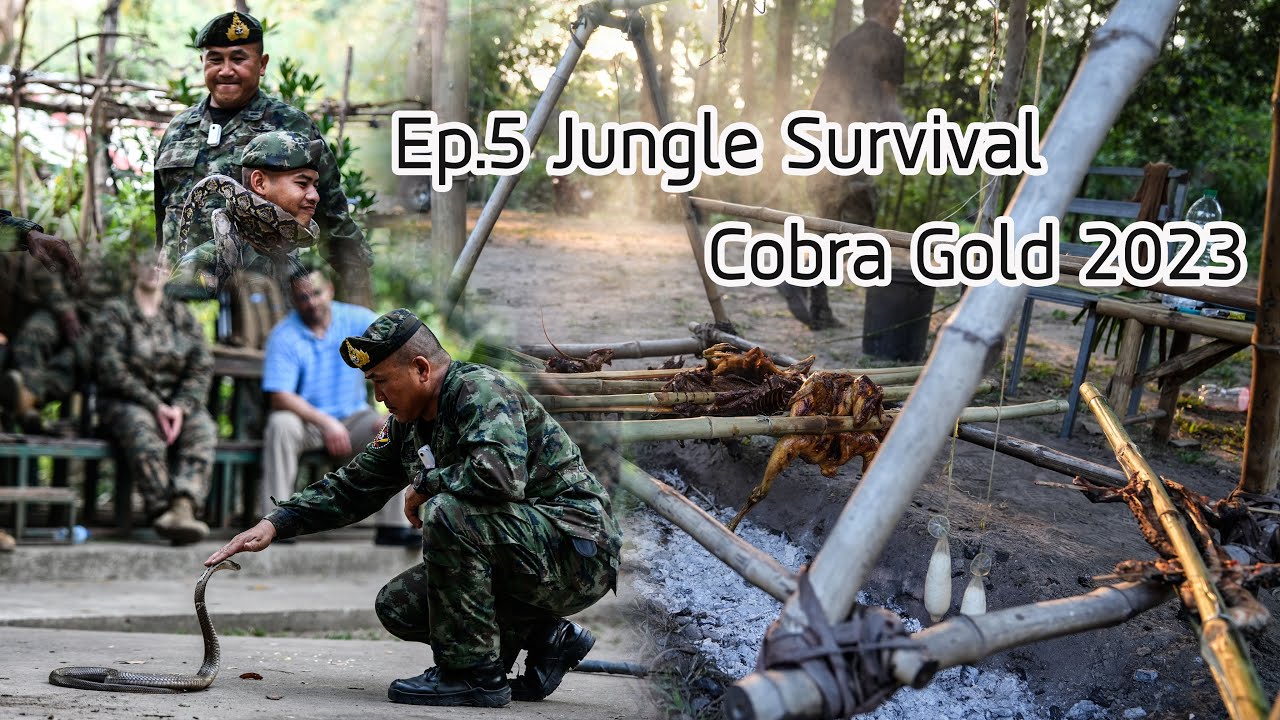 Ep.5 Jungle Survival Cobra Gold 2023 ดำรงชีพในป่าเขตร้อน ให้หมอ/พบาบาล Uss ครั้งแรก