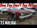 1973 Chevy Malibu Junkyard Find