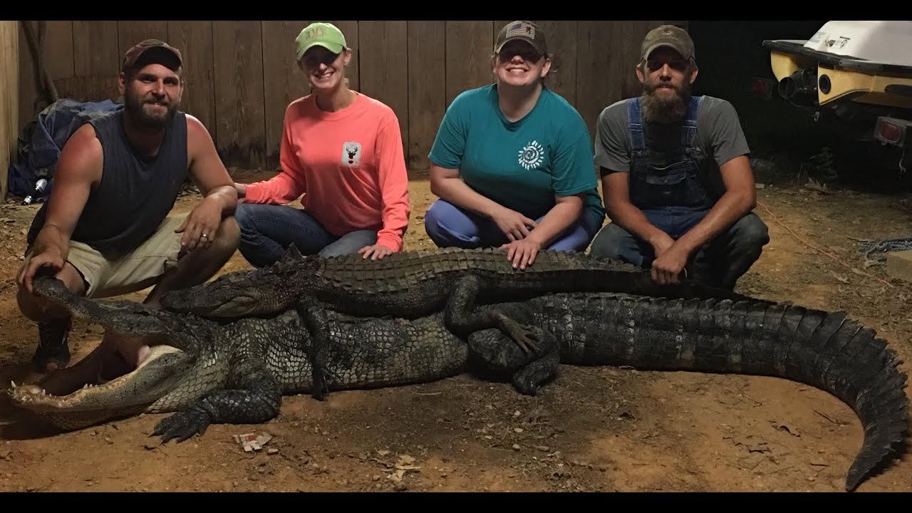 MS Gator Hunt 2016 YouTube