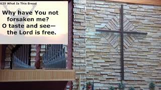 June 21, 2026 Trinity Sunday Service 8:00 am