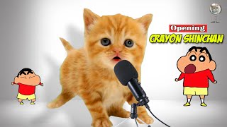 Lagu Opening Crayon Shinchan Versi Indonesia Cover Kucing