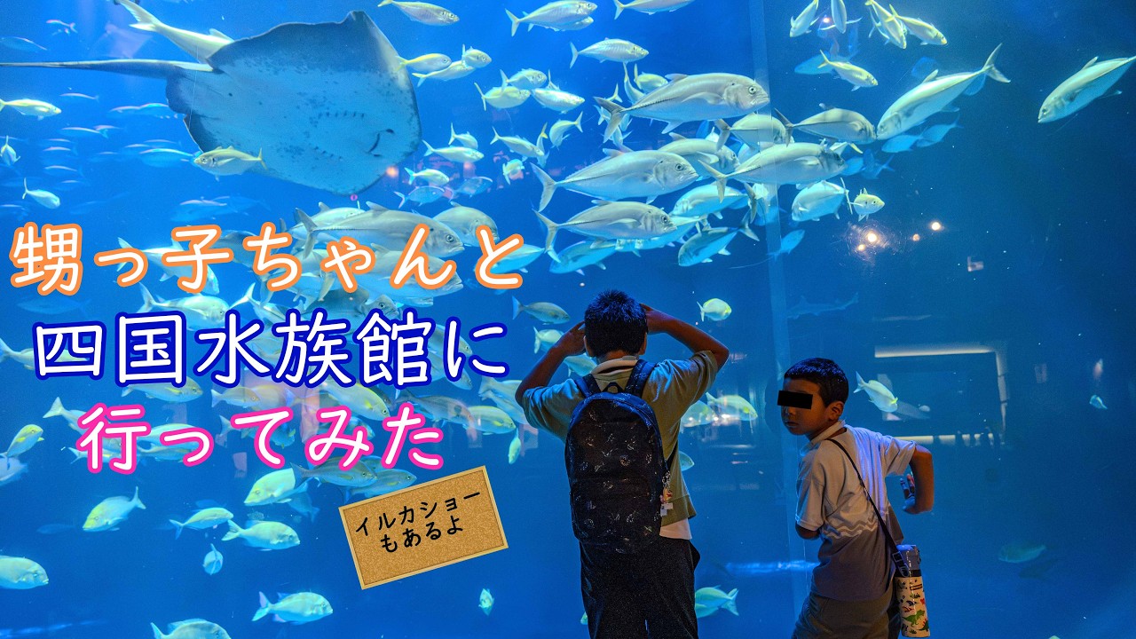 226. I went to Shikoku Aquarium with my nephew! - YouTube