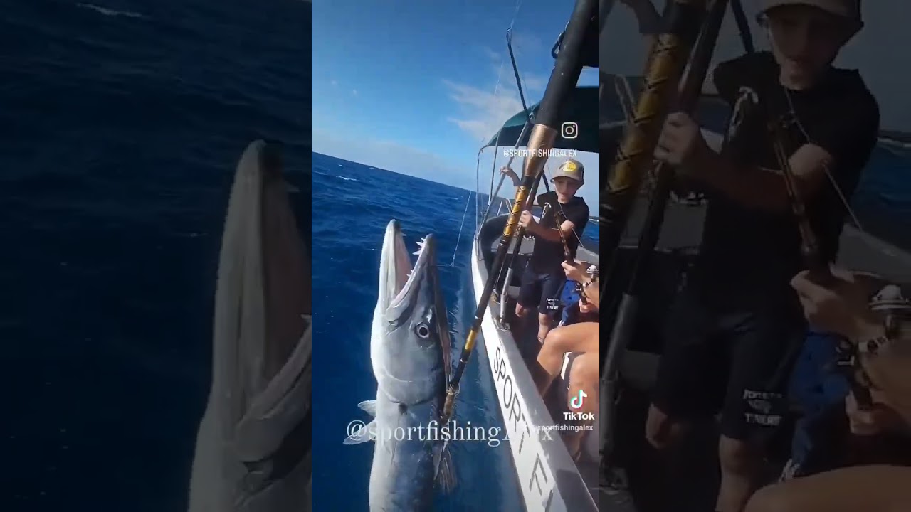 fishing playa del carmen Mexico 2024 pesca 