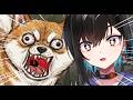 【ワンワンバトル】吠えたくなったので夜中にかかわらず吠えます【鬼頭みさき/ぶいぱい】