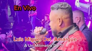 Luis Miguel Del Amargue- A Un Milímetro De Ti EN VIVO @LuisMiguelDelAmargue