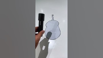 The Prototyp🤢Vs…#dogleash #pawpubby #handsfree #fypage #dogsoftiktok