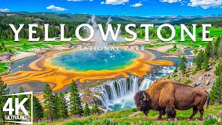 Yellowstone National Park 4K | America’s Wild Wonder – Geysers, Lakes & Endless Wilderness