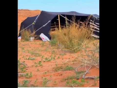 لاتنشدوني يعرب ليه سجيت 