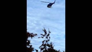 Forest Firefighter demonstration