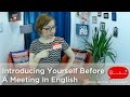 How to introduce yourself before a meeting in english  business english lessons