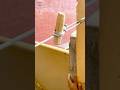 How to make a tension system with rope for a clothesline #tips #lifehacks