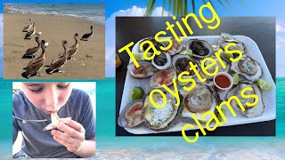 First time Kids Tasting clams and oysters. What tastes better? Kids opinion.