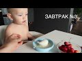 Меню ребенка в 2 года  |  Что есть мой ребенок в 2-2,5 года детское меню