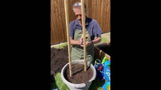 Growing Cubers Vertically.