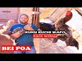 Ufugaji Wa Kuku Aina Ya Kuchi ZIJUE SABABU 5 ZA KWANINI KUKU KUCHI NI GHALI