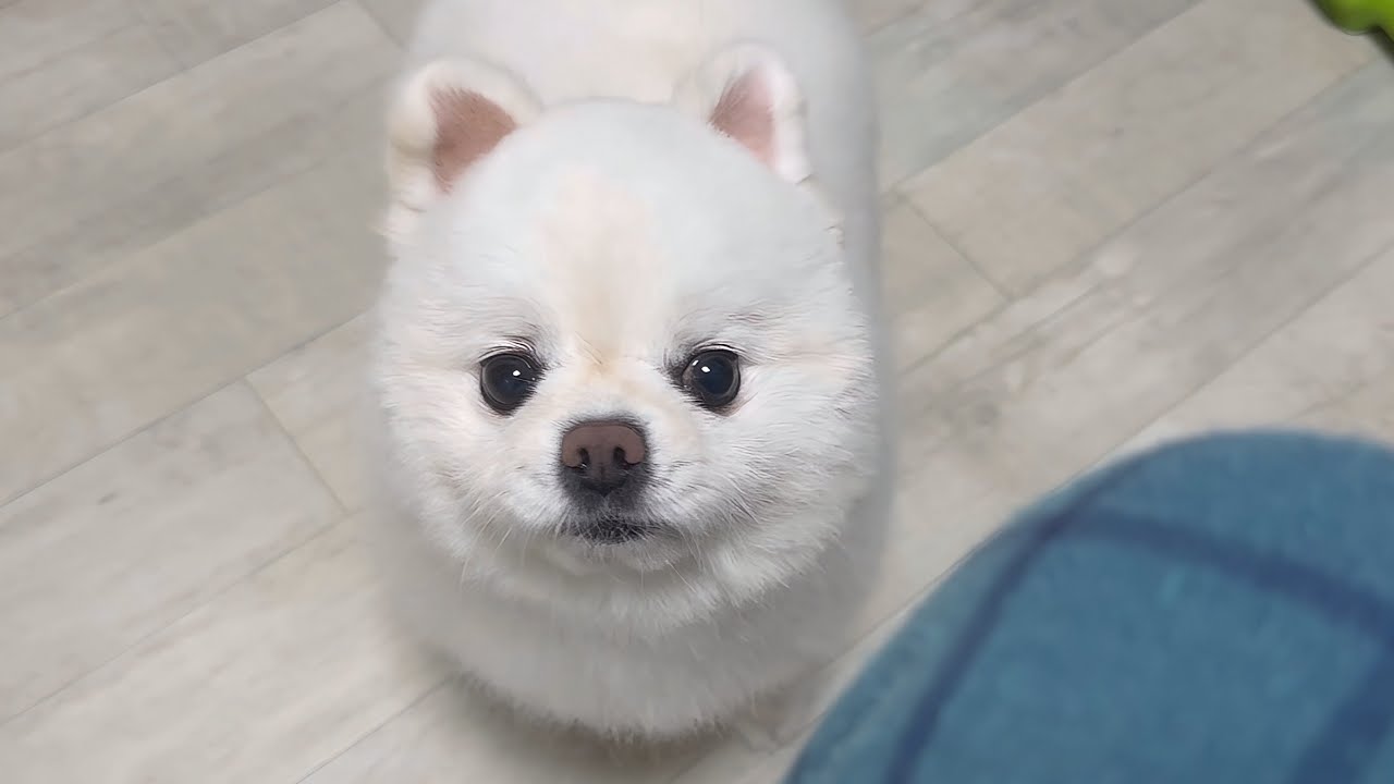 자꾸 불렀더니 인내심 폭발하기 직전..