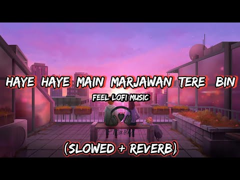 Haye Haye Main Marjawan Tere Bin Lofi || Bole Chudiyan (slowed + Reverb) || Feel Lofi Music