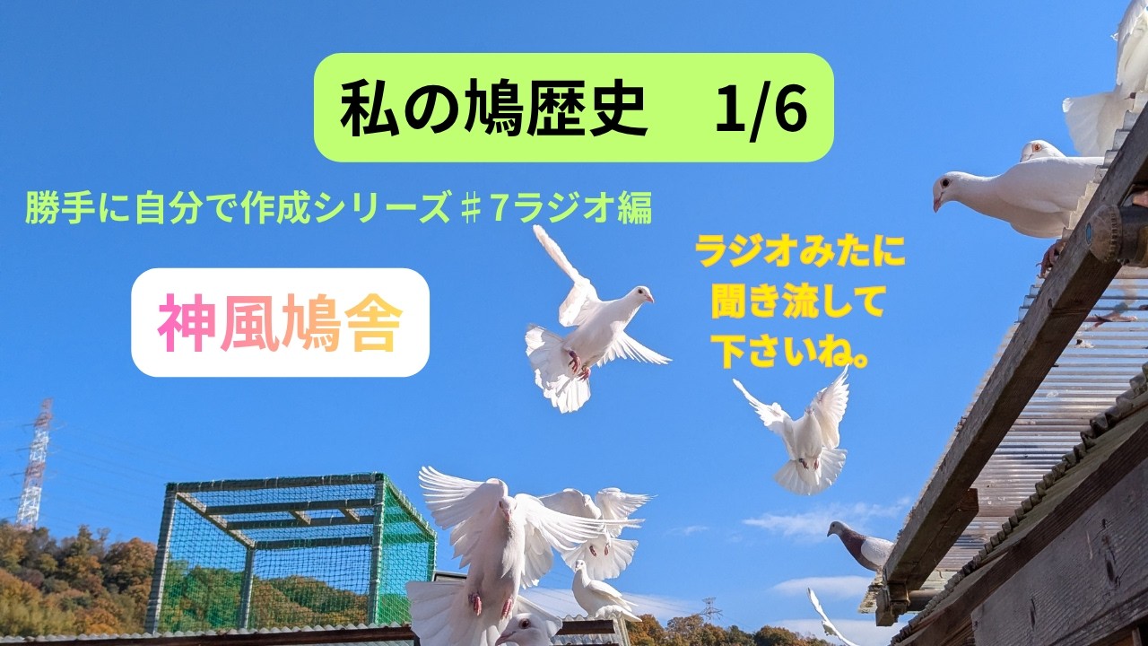 イギリス タイムウォッチ 鳩 レース イギリス タイムウォッチ 鳩 レース 【公式通販】