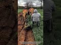How to Use a Horse-Drawn Sulky Plow for Traditional Farming