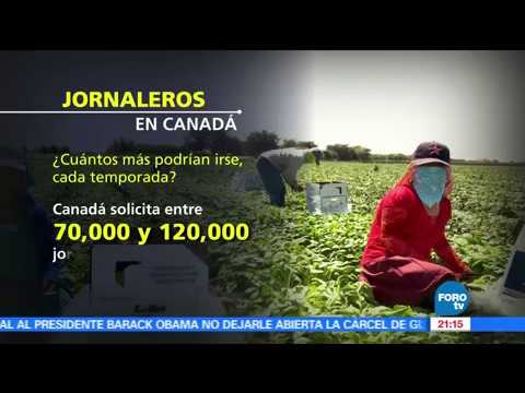 Jornaleros mejoran su calidad de vida en Canadá