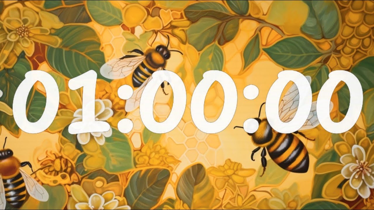 1 Hour Timer Busy Bees YouTube