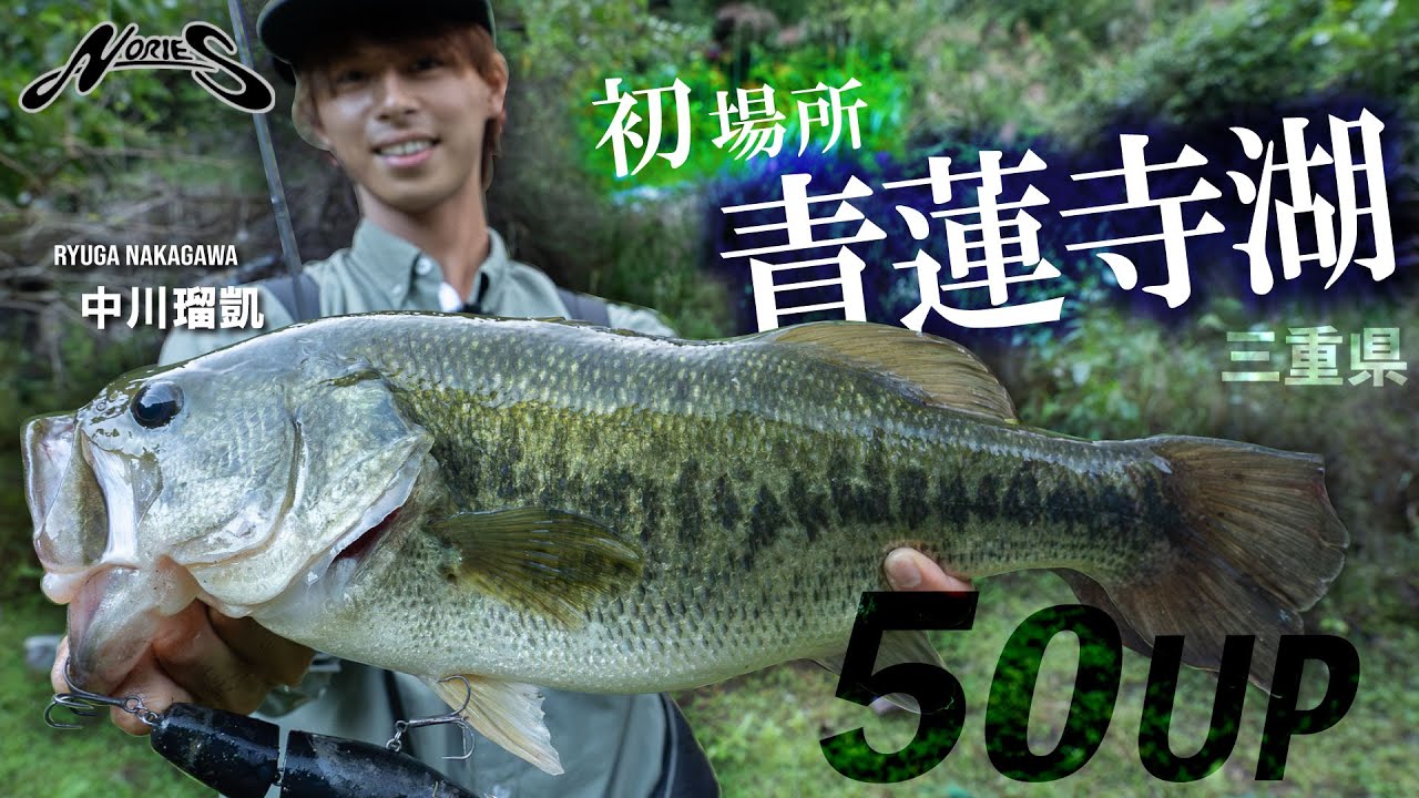 【青蓮寺湖】リュウガ流・初場所攻略で50UP登場！【ノリーズ・中川瑠凱】