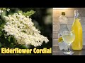 Elderflower Cordial- Easy Recipe