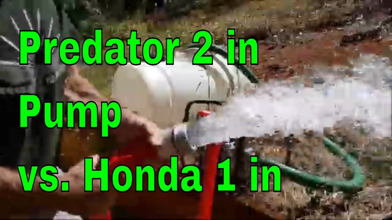 Harbor Freight Predator 2 in Water Pump vs Honda 1 in Which is Better