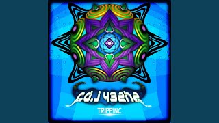 TrippInc (Original Mix)