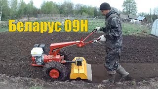 ПОСАДКА КАРТОФЕЛЯ под ПЛУГ и ФРЕЗОЙ под грядки // Мотоблок мтз БЕЛАРУС 09Н