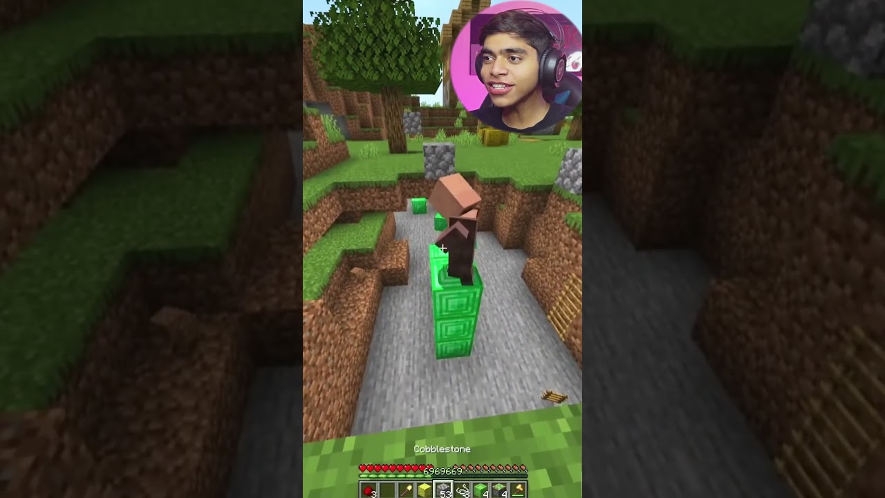 Minecraft villager meme