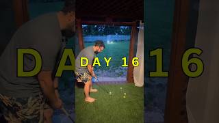 Day 16 of Trying to Hit a Hole-in-One in my Backyard