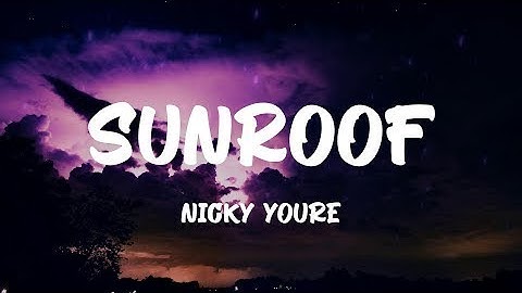 Nicky Youre, dazy   Sunroof Lyrics