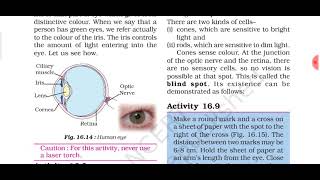 Structure and function of eye, chapter -16 Science, class 8, NCERT