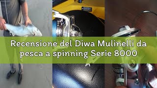 Recensione del Diwa Mulinelli da pesca a spinning Serie 8000/10000/12000 Acqua dolce d'acqua salata
