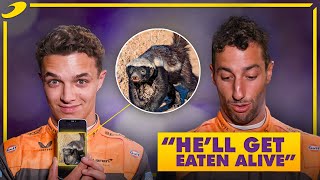 Formula 1 Smash or Pass with Lando Norris &amp; Daniel Ricciardo